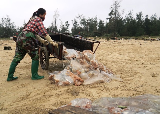 Ngư dân Hà Tĩnh vớt lộc trời dưới cái lạnh tê tái kiếm hàng triệu đồng mỗi ngày