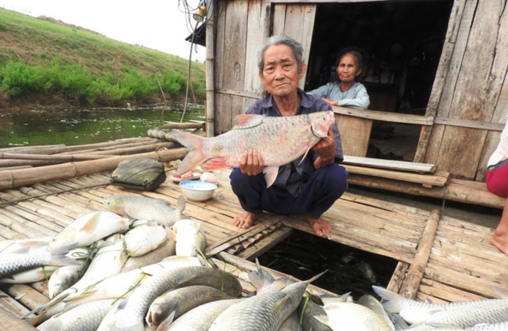 Bộ Tài nguyên và Môi trường vào cuộc thanh tra việc xả thải ra sông Bưởi