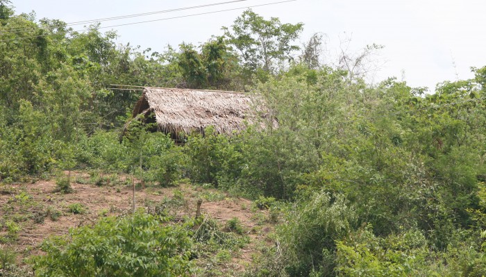 Căn lều trống