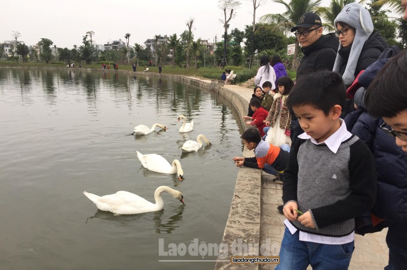 chieu mung 4 tet dan thien nga bat ngo tu hoi o ho thanh ha