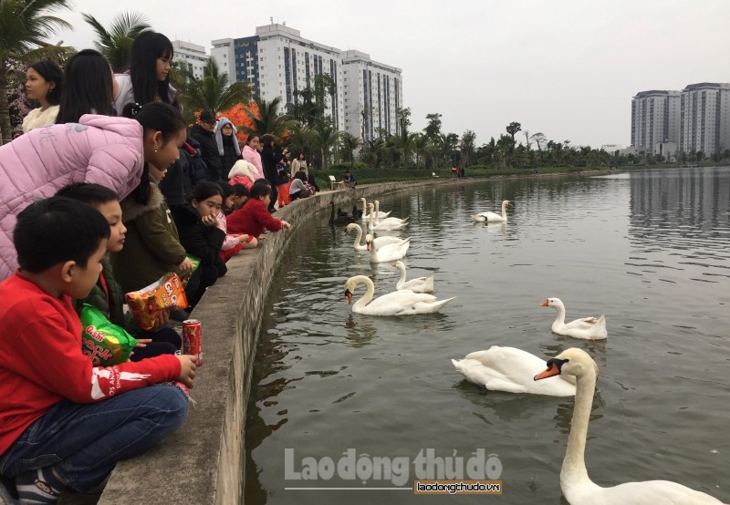 chieu mung 4 tet dan thien nga bat ngo tu hoi o ho thanh ha