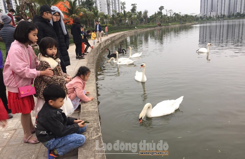 chieu mung 4 tet dan thien nga bat ngo tu hoi o ho thanh ha