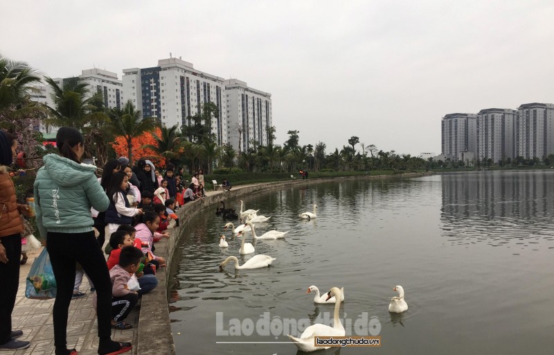 chieu mung 4 tet dan thien nga bat ngo tu hoi o ho thanh ha