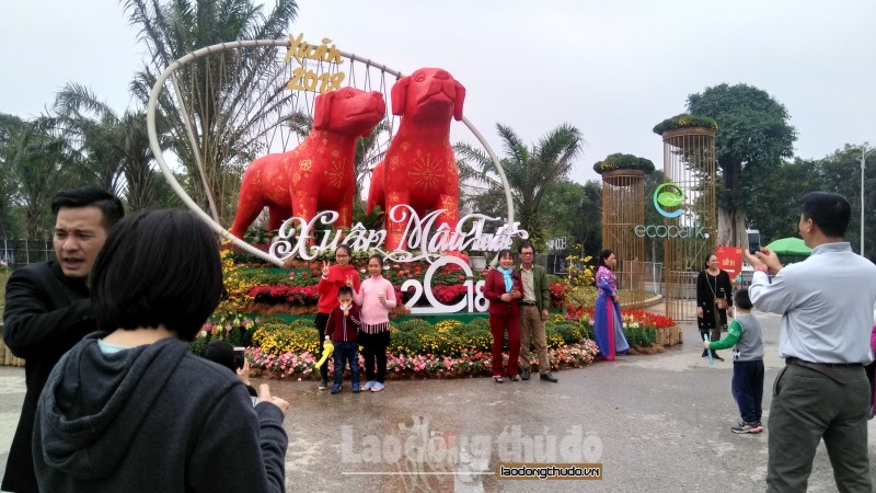 du khach lac loi trong rung hoa le hoi xuan 3 mien