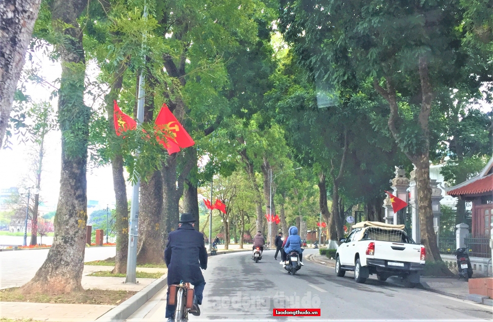 Phố phường Hà Nội bình yên trong sắc Xuân đầu năm