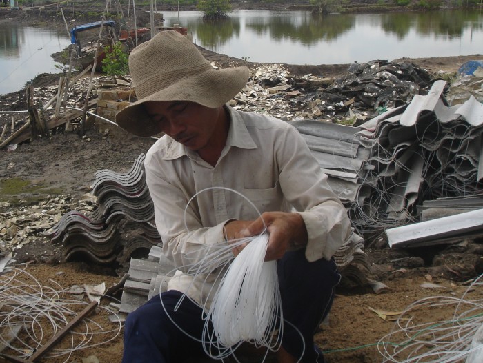 Nuôi hàu, một nghề 