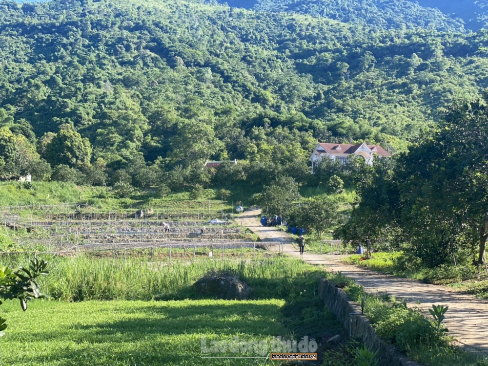 Bộ Tài chính ban hành Thông tư gia hạn giảm 30 khoản phí, lệ phí