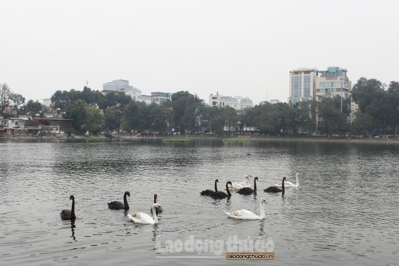 Tu bổ, tôn tạo di tích hồ Thiền Quang: Tiếp tục xin ý kiến đồng thuận của nhân dân