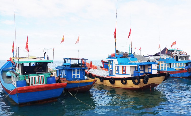 thua thien hue tau ca dam bao an toan duoc cho phep ra khoi