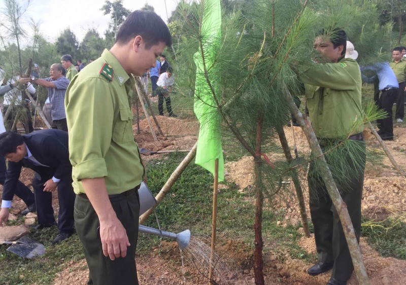 Thừa Thiên Huế: Phấn đấu trồng mới khoảng 7.000 ha rừng