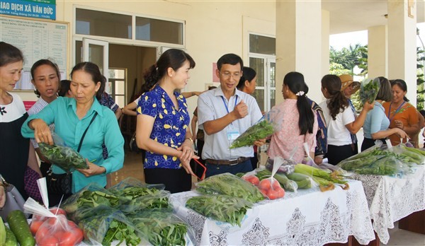 Ra mắt “Tổ hợp tác sản xuất và tiêu thụ rau an toàn xã Văn Đức”