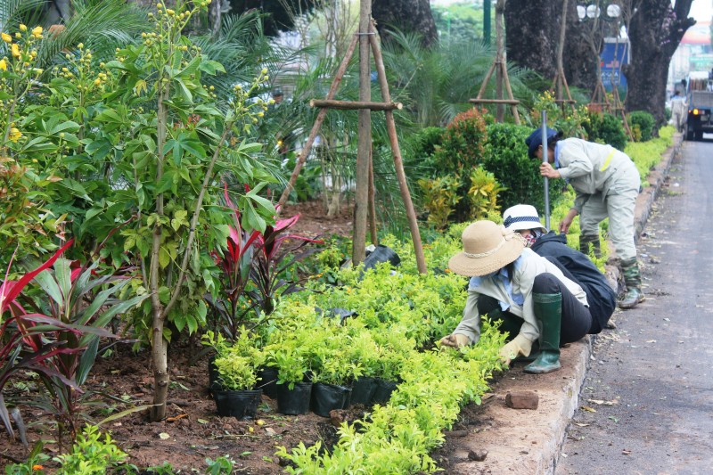 Nối dài màu xanh cho phố thị