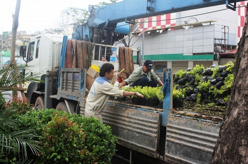 co mot ha noi xanh tuoi va than thien