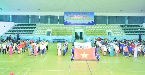 soi noi giai the thao thanh nien cac co quan tp ha noi