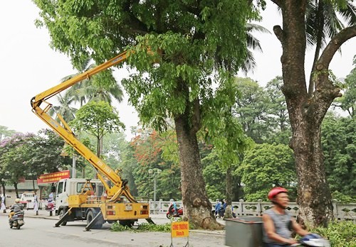 Sơn Tây chủ động các biện pháp phòng chống bão số 3