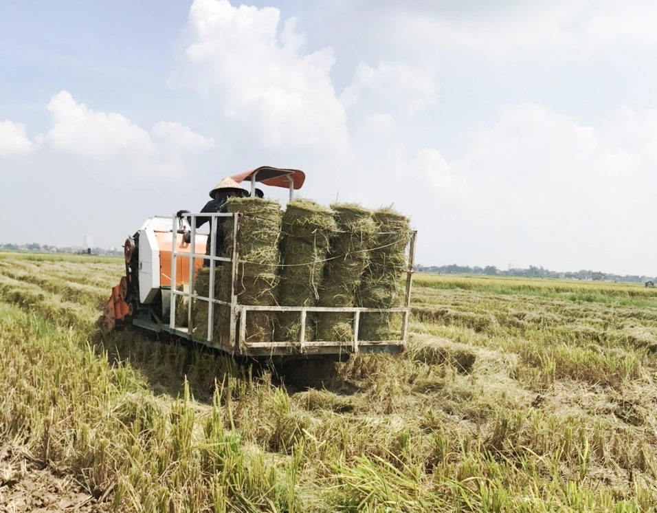 Dịch Covid-19 chưa yên, đừng ôm tâm lý thờ ơ, mất cảnh giác