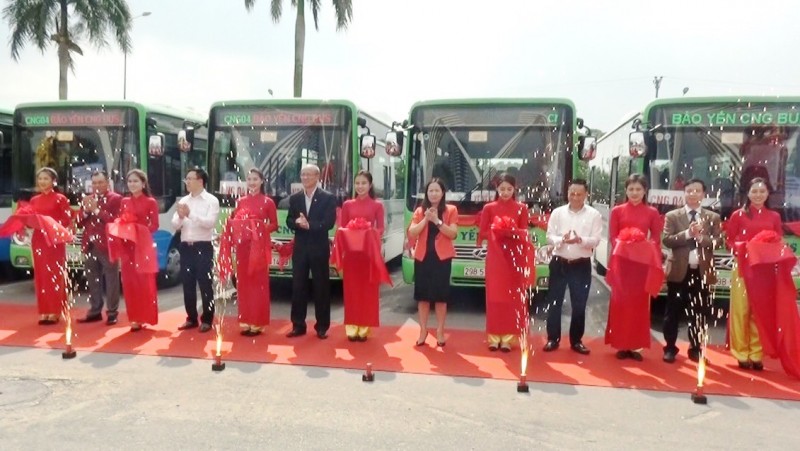 ha noi them nhieu tuyen buyt su dung nhien lieu sach