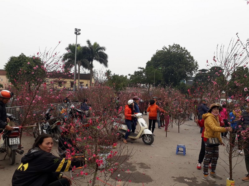 nguoi ha noi voi vang san cay canh doc la nhung ngay giap tet