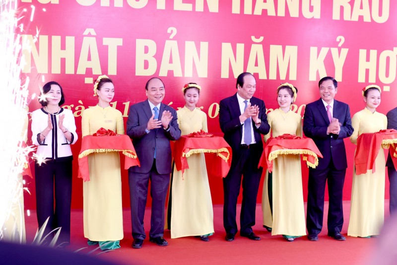 lo hang rau qua dau tien xuat khau sang nhat ban nam 2019