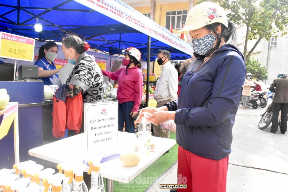 Hà Nội nỗ lực chung tay “giải cứu” nông sản cho nông dân Hải Dương