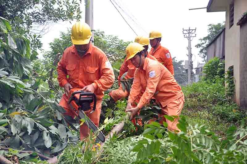 evn ha noi dam bao an toan trong mua mua bao