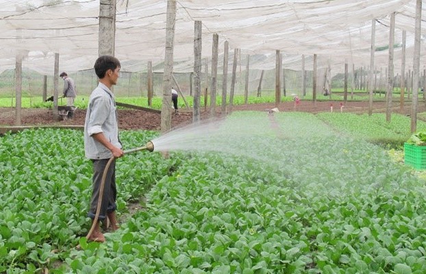 Huyện Thanh Oai: Tích cực tháo gỡ khó khăn để về đích nông thôn mới