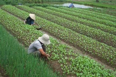 dien mao nong thon thay doi nho lam tot cong tac tuyen truyen