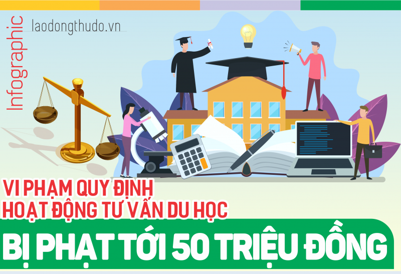 Infographic: Vi phạm quy định hoạt động tư vấn du học bị phạt tới 50 triệu đồng