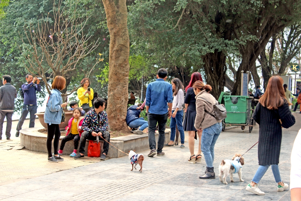 Những quy định chỉ nằm trên giấy