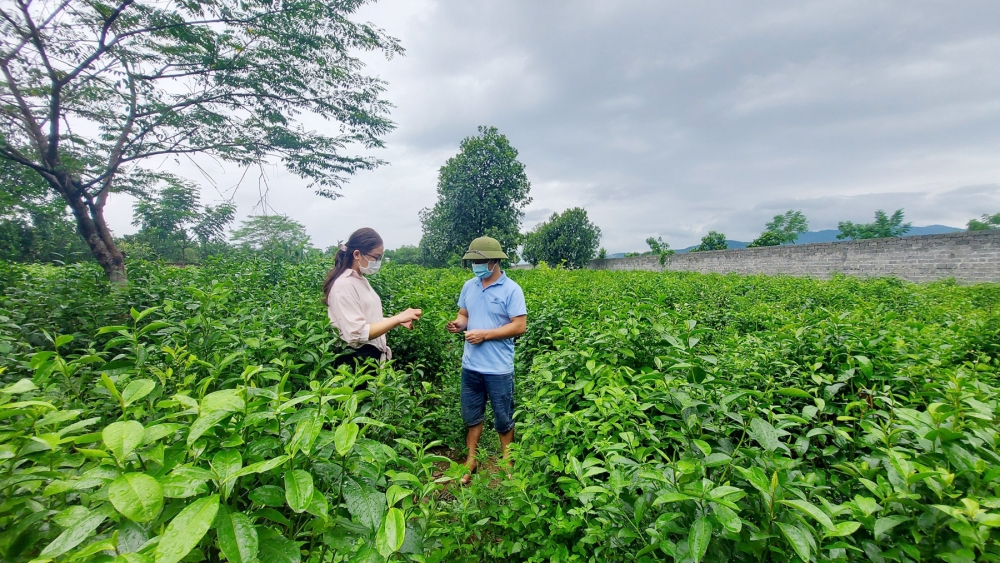 Bài cuối: Gỡ nút thắt đầu ra sản phẩm