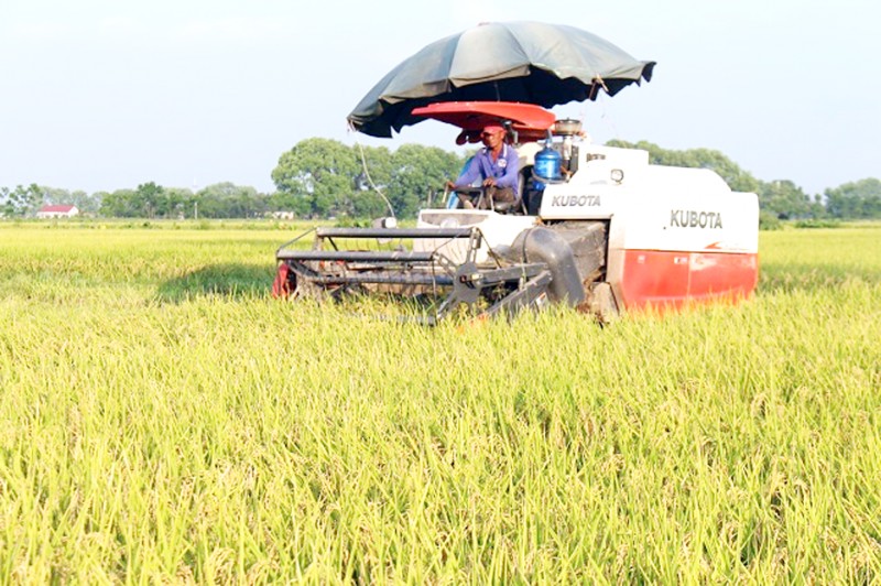 Nỗ lực “cán đích” nông thôn mới trong năm 2020