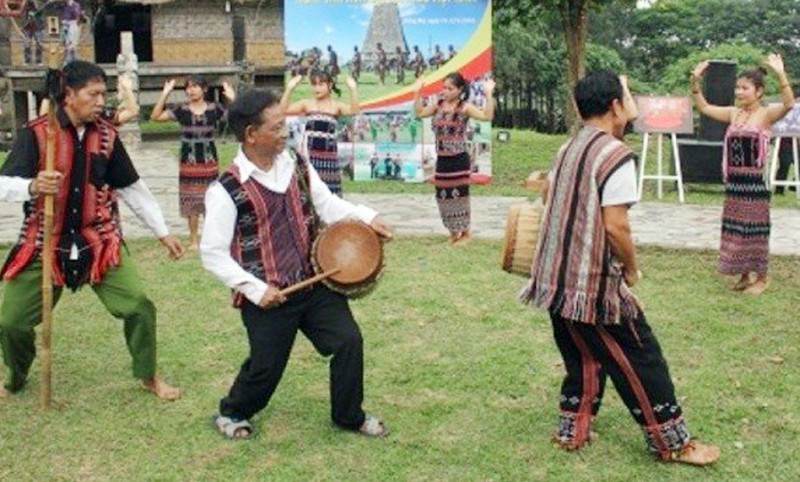 “Sắc hoa” đón chào năm mới