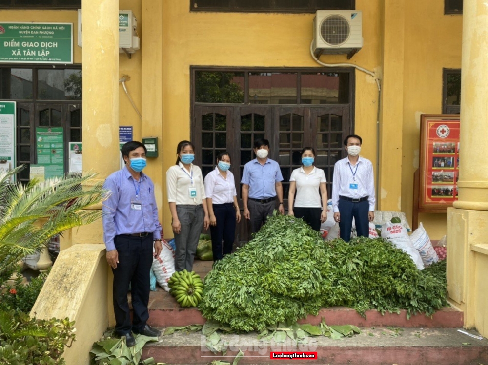 Nông dân xã Trung Châu tích cực tham gia công tác phòng, chống dịch, phục hồi kinh tế