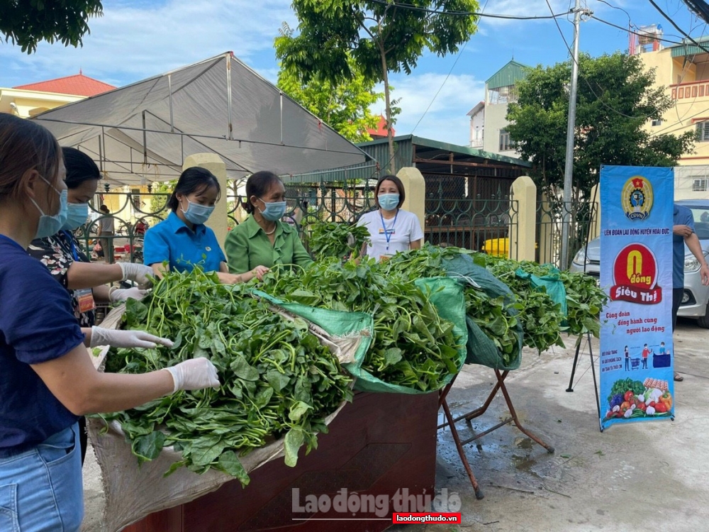 LĐLĐ huyện Hoài Đức chung sức đảm bảo an sinh xã hội trên địa bàn