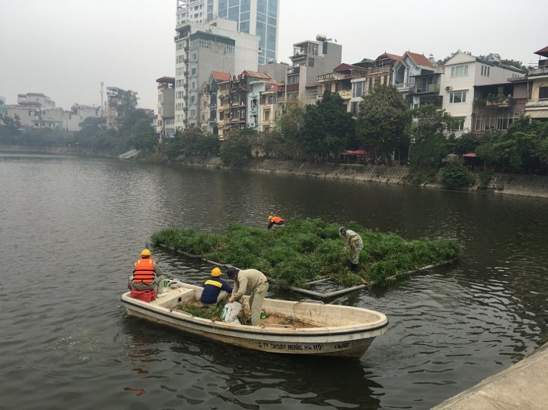 ha noi giu gin nhung la phoi xanh cua ha noi trong dip tet nguyen dan