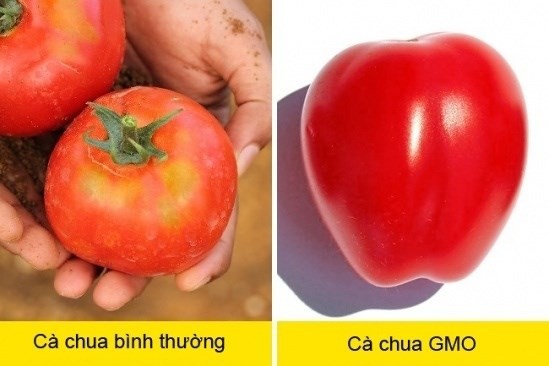 cach nhan biet thuc pham dot bien gen bang mat thuong cac ba noi tro can biet