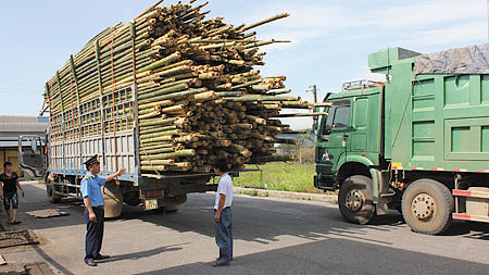 Tổng điều tra, xử lý xe quá khổ, quá tải, xe 3-4 bánh tự sản xuất