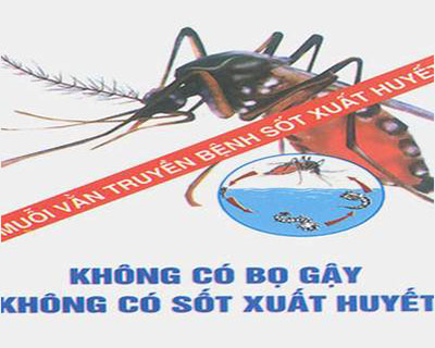 Biết những điều này, sốt xuất huyết sẽ không tìm đến bạn