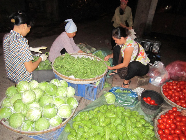 ha noi gia rau doi gap hai