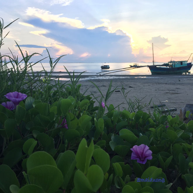 o quang ninh co mot hon dao song ao sieu re hoang so va dep bat ngo