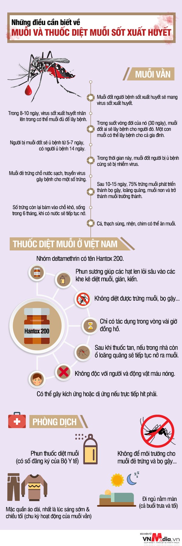 sot xuat huyet nhung dieu can biet ve muoi va thuoc diet muoi