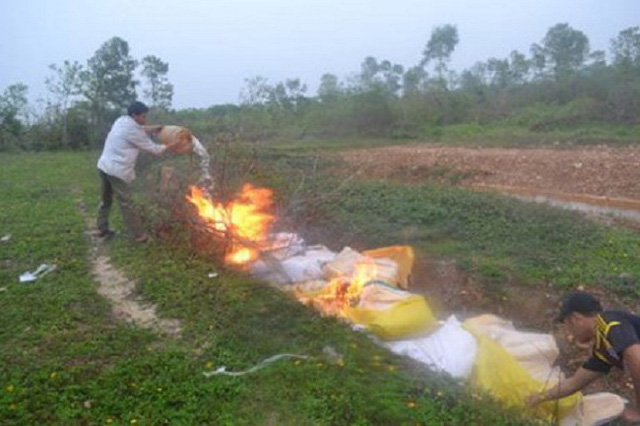 Tiêu hủy hơn 1 tấn dăm bông không rõ nguồn gốc