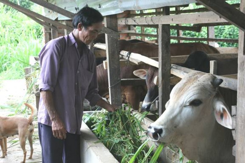 Cần những tiêu chí gì?