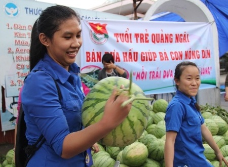 Màu áo xanh của Tỉnh đoàn Quảng Ngãi cùng đồng hành với người trồng dưa đến hết vụ thu hoạch này.