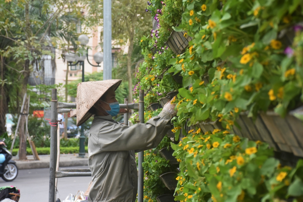 Hà Nội: Phố đi bộ Trịnh Công Sơn trước giờ mở cửa lại