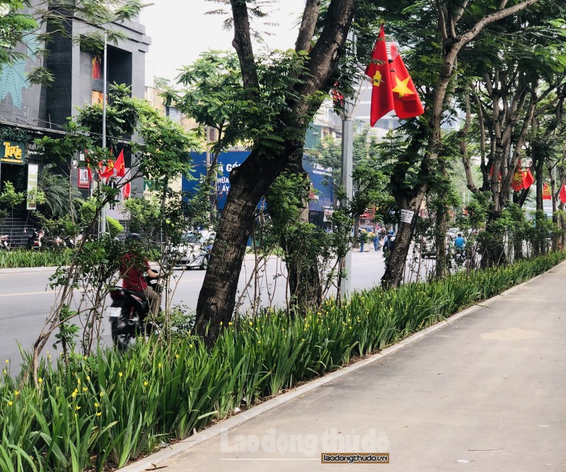 nguoi ha noi thich thu voi tuyen duong di bo xanh mat ben pho thai ha