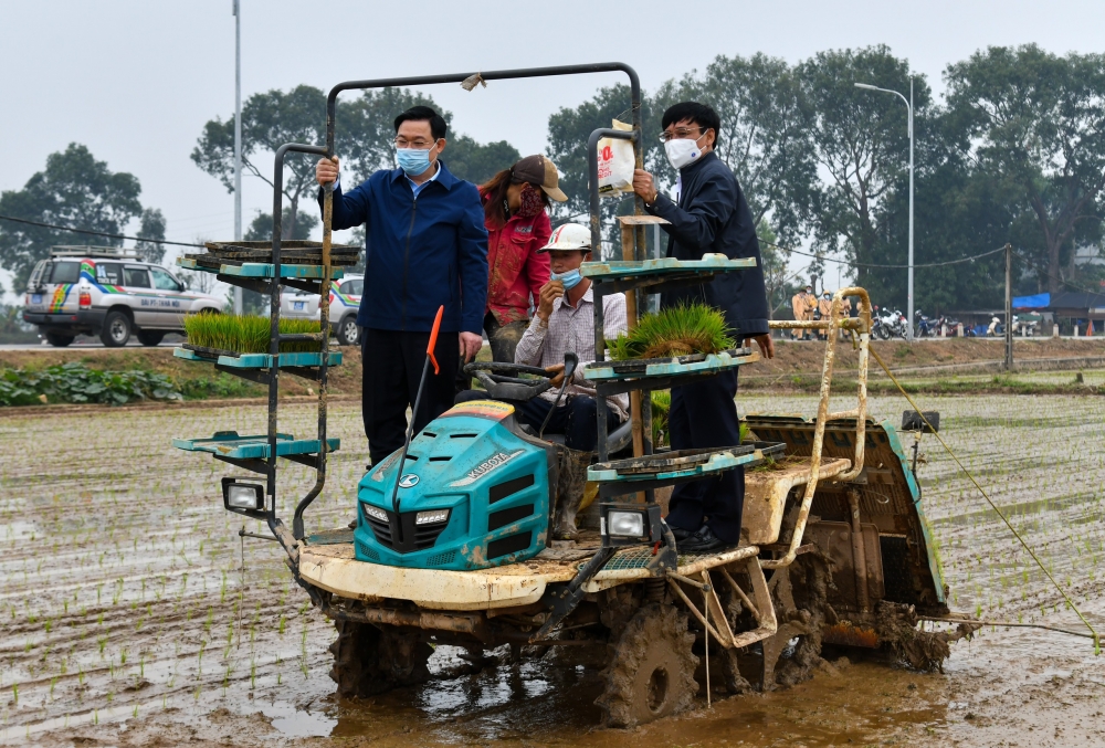 Bí thư Thành ủy Vương Đình Huệ xuống đồng cấy lúa, động viên nông dân