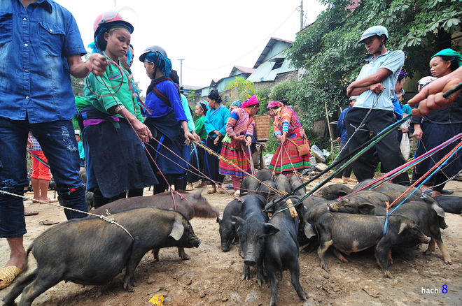 Chợ phiên Cốc Pài trong những mảng màu nên thơ