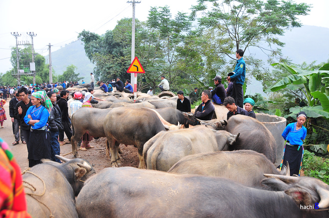 Chợ phiên Cốc Pài trong những mảng màu nên thơ