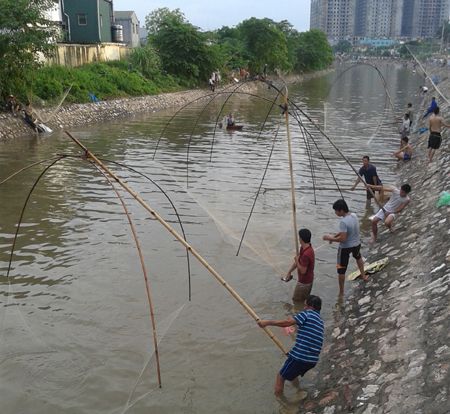 Hiện tượng đánh bắt diễn ra trên gần 1 km đoạn sông Tô Lịch của xã Thanh Liệt, giáp đường 70.